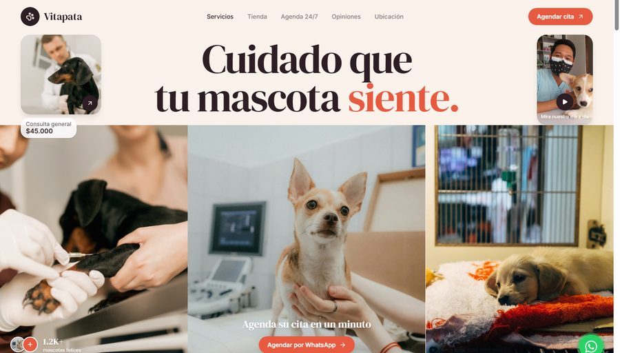 Ejemplo de página web para Veterinarias