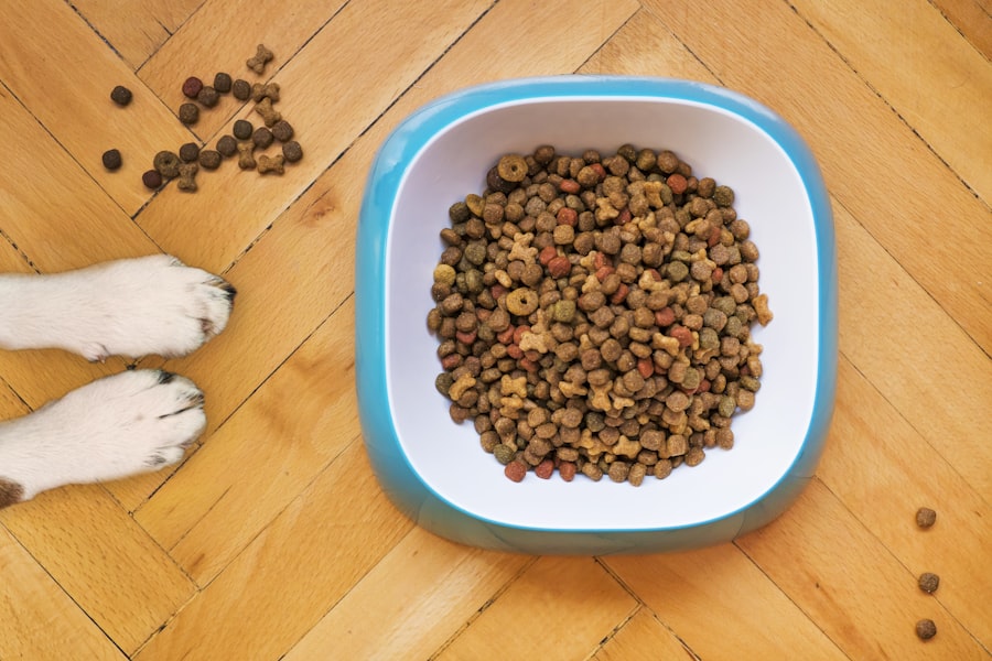 Croquetas premium para perro