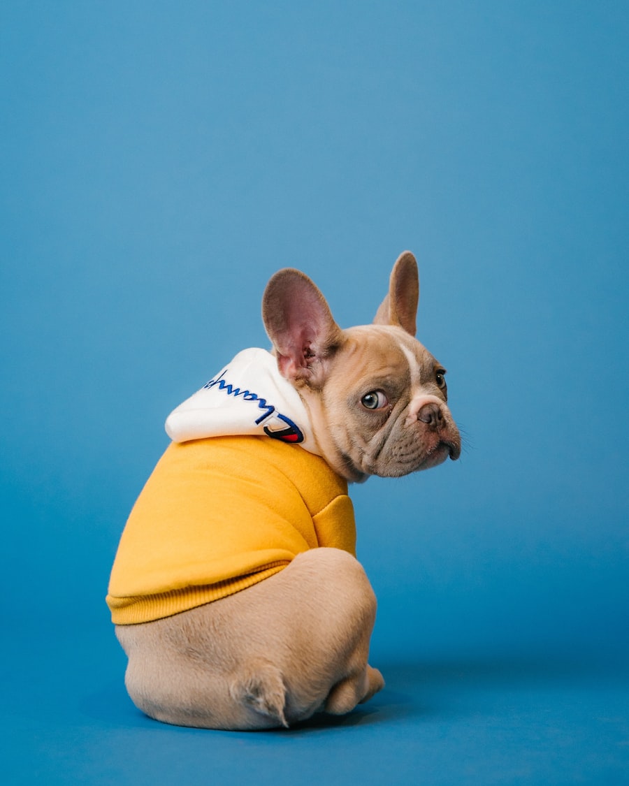 Ropa para mascotas